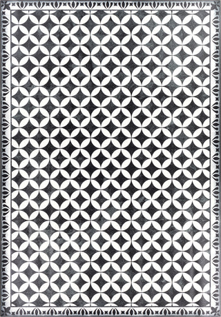 Surya Vinilo VNL-2309 Area Rug main image