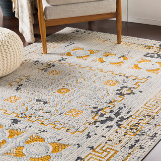 Surya Venezia VNZ-2300 Area Rug Room Image Feature