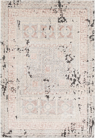 Surya Venezia VNZ-2301 Rose Beige Medium Gray Charcoal Area Rug main image