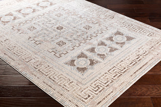 Surya Venezia VNZ-2302 Aqua Beige Dark Brown Medium Gray Area Rug Corner Image