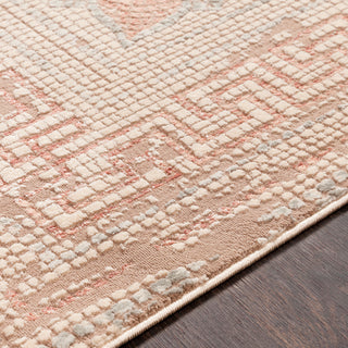 Surya Venezia VNZ-2303 Rose Camel Beige Medium Gray Area Rug Texture Image