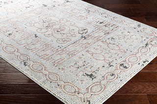 Surya Venezia VNZ-2304 Rose Medium Gray Beige Charcoal Area Rug Corner Image