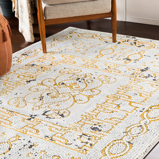 Surya Venezia VNZ-2307 Area Rug Room Image Feature