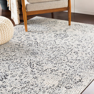 Surya Venezia VNZ-2309 Area Rug Room Image Feature