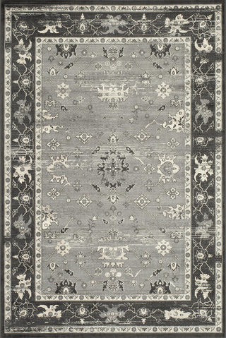 Momeni Vogue VG-05 Charcoal Area Rug main image