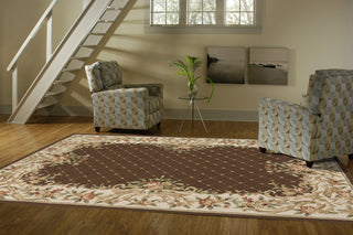 Momeni Veranda VR-06 Brown Area Rug Roomshot Feature