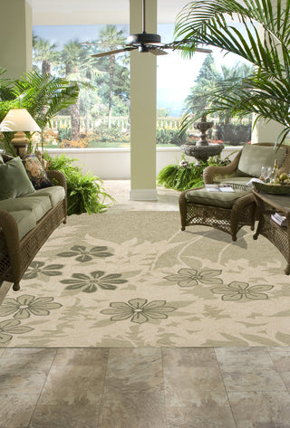 Momeni Veranda VR-11 Sage Area Rug Roomshot Feature