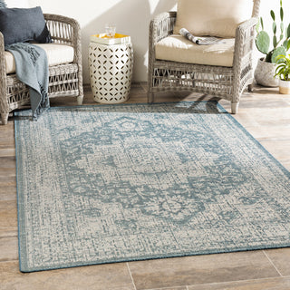 Surya Veranda VRD-2301 Area Rug Room Scene Feature