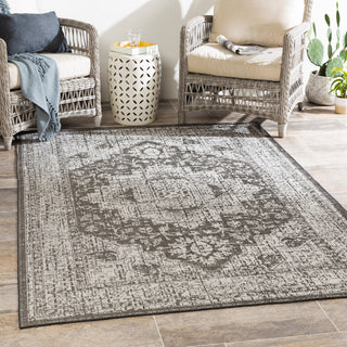 Surya Veranda VRD-2302 Area Rug Room Scene Feature