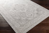 Surya Veranda VRD-2303 Area Rug