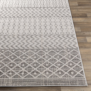 Surya Veranda VRD-2305 Area Rug