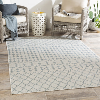 Surya Veranda VRD-2306 Area Rug Room Scene Feature