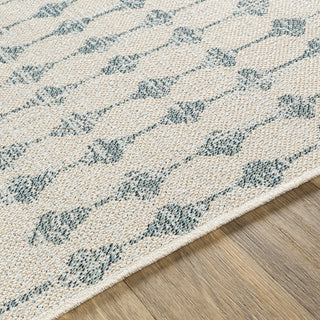 Surya Veranda VRD-2306 Area Rug