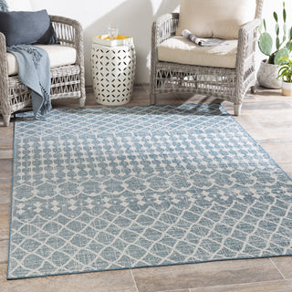 Surya Veranda VRD-2307 Area Rug Room Scene Feature