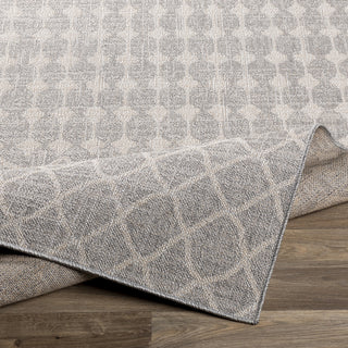 Livabliss Veranda VRD-2308 Area Rug