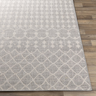 Livabliss Veranda VRD-2308 Area Rug