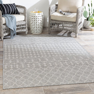 Surya Veranda VRD-2308 Area Rug Room Scene Feature