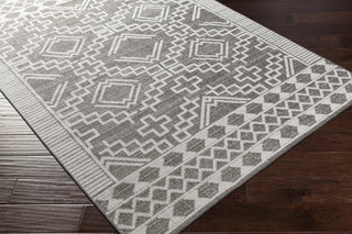 Livabliss Veranda VRD-2309 Area Rug