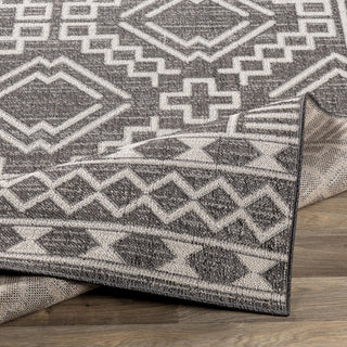 Livabliss Veranda VRD-2309 Area Rug