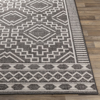 Livabliss Veranda VRD-2309 Area Rug