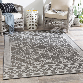 Surya Veranda VRD-2309 Area Rug Room Scene Feature