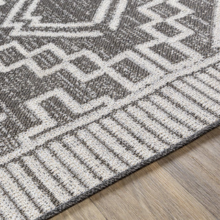 Livabliss Veranda VRD-2309 Area Rug