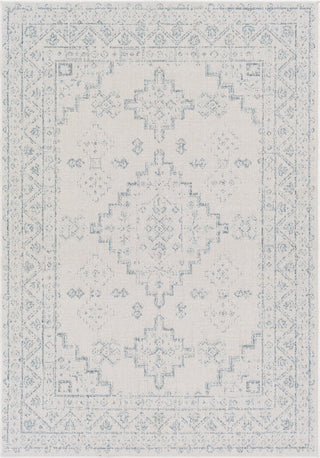 Livabliss Veranda VRD-2311 Area Rug