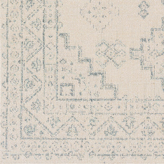 Livabliss Veranda VRD-2311 Area Rug