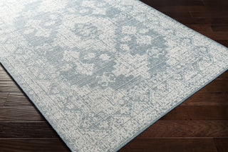 Surya Veranda VRD-2312 Area Rug