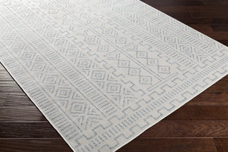 Surya Veranda VRD-2317 Area Rug