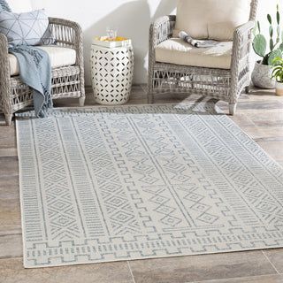 Surya Veranda VRD-2317 Area Rug Room Scene Feature