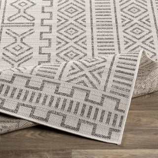 Livabliss Veranda VRD-2318 Area Rug