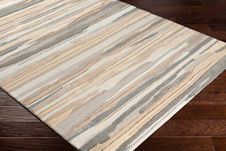 Surya Vernier VRN-1009 Beige Taupe Medium Gray Tan Khaki Area Rug Mirror Corner Image