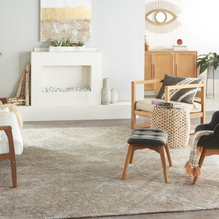 Nourison Venosa VSN01 Taupe Area Rug