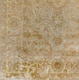 Surya Vintage VTG-5201 Beige Area Rug Sample Swatch