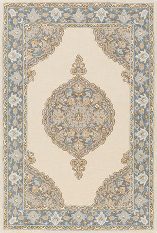 Surya Viva VVA-1007 Medium Gray Khaki Tan Sky Blue Area Rug main image