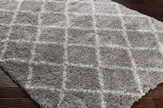 Artistic Weavers Waldron Luca WAL9000 Area Rug Corner Shot Feature