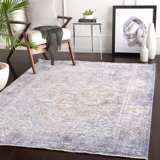 Surya Wonder WAM-2303 Area Rug Room Scene Feature