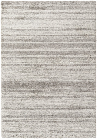 Livabliss Wilder WDR-2000 Area Rug