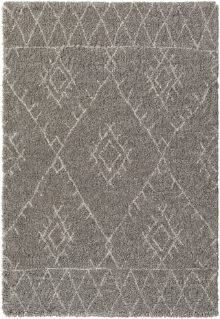 Wilder WDR-2002 White Area Rug by Surya 5'3'' X 7'7''