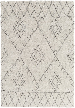 Wilder WDR-2003 White Area Rug by Surya 5'3'' X 7'7''