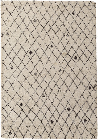 Surya Wilder WDR-2005 White Area Rug main image