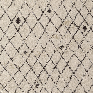 Surya Wilder WDR-2005 White Area Rug Sample Swatch