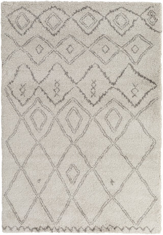 Wilder WDR-2006 White Area Rug by Surya 5'3'' X 7'7''