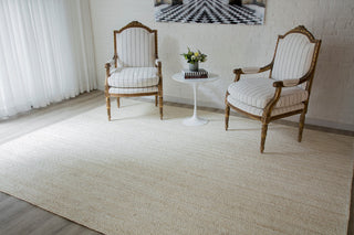 Momeni Westshore Waltham Natural Area Rug by Erin Gates