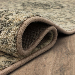 Karastan Euphoria Wexford Sand Stone Area Rug Main Image