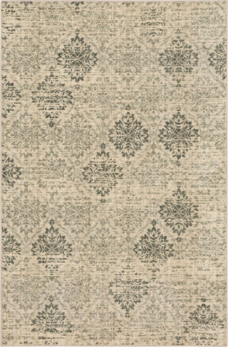 Karastan Euphoria Wexford Sand Stone Area Rug Main Image