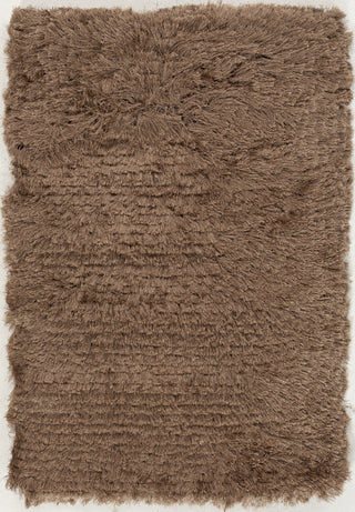 Surya Whisper WHI-1002 Taupe Area Rug by Candice Olson 2' x 3'