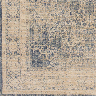 Artistic Weavers Whitman Kinsley WHM8803 Area Rug Swatch