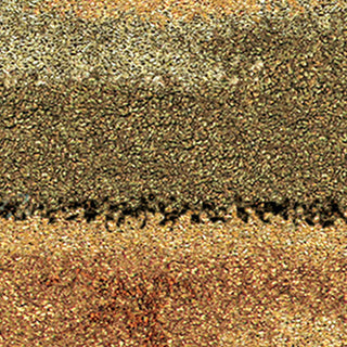 Orian Rugs Wild Weave Dusk to Dawn Multi Area Rug 